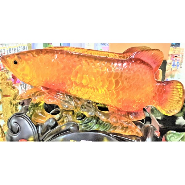 Feng Shui Display Lucky Charm - Arowana Fish