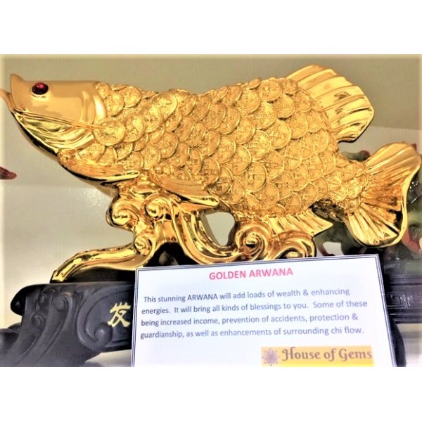 Feng Shui Display Lucky Charm - Golden Arowana Fish